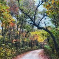 Sugar Camp National Forest Scenic Byway ico