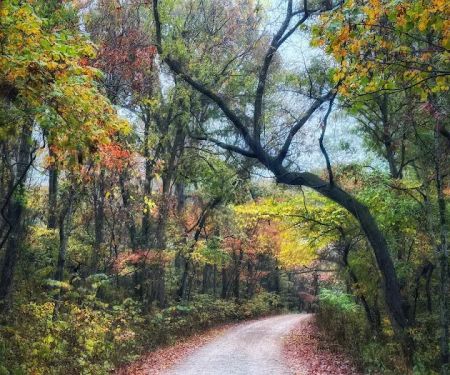 Sugar Camp National Forest Scenic Byway