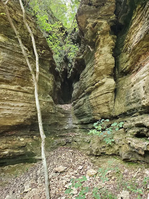 Sugar Camp National Forest Scenic Byway Picture 8