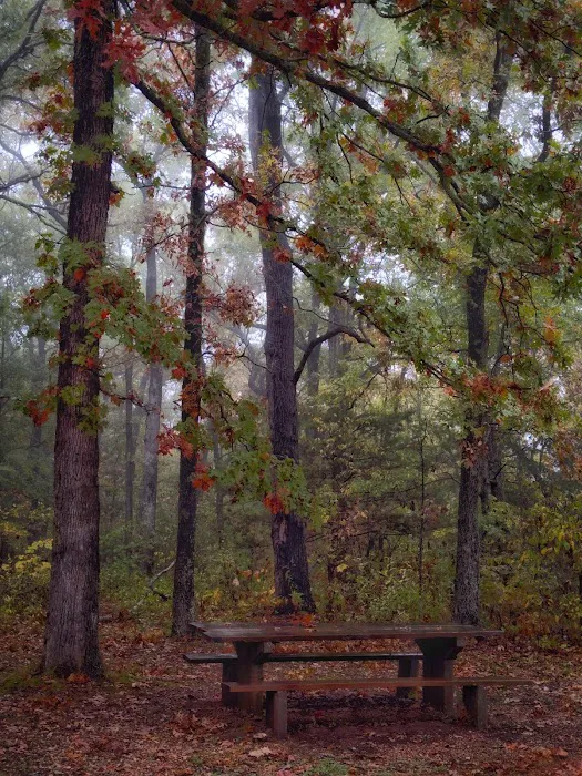 Sugar Camp National Forest Scenic Byway Picture 2