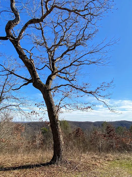 Sugar Camp National Forest Scenic Byway Picture 7