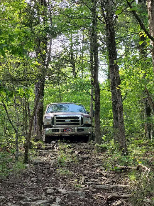 Sugar Camp National Forest Scenic Byway Picture 5