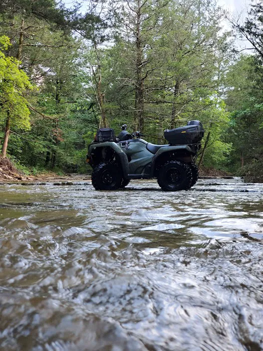Sugar Camp National Forest Scenic Byway Picture 6