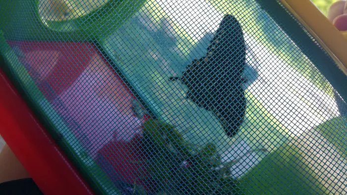 Paradise VALLEY Picture 2