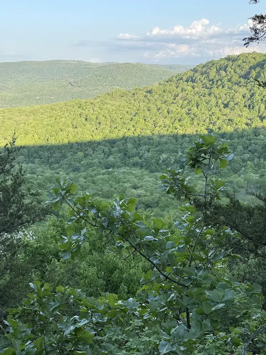 The High Ground Picture 1