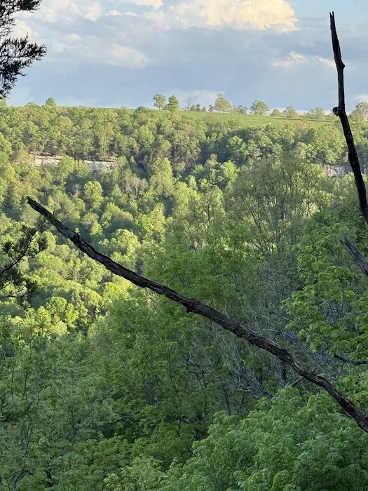 The High Ground Picture 5