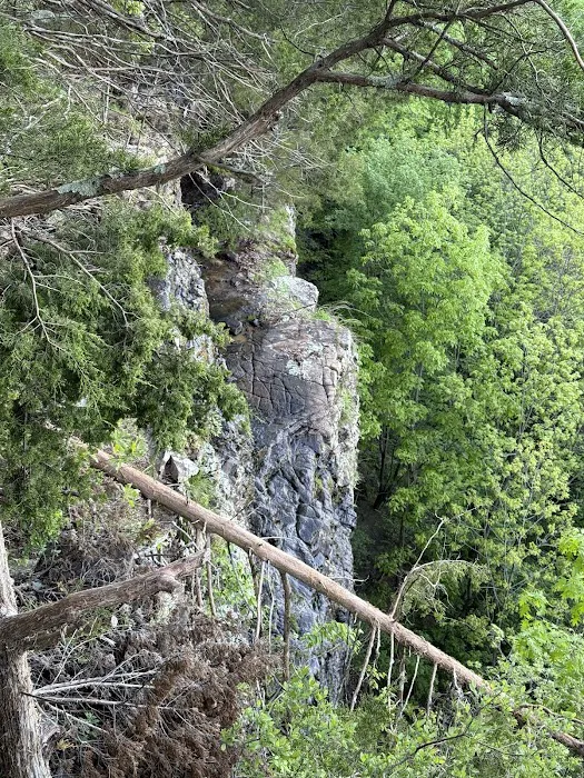 The High Ground Picture 10