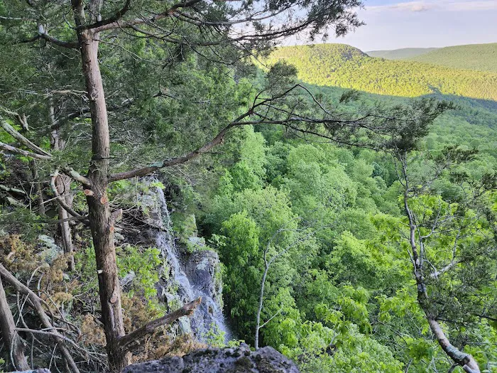 The High Ground Picture 8