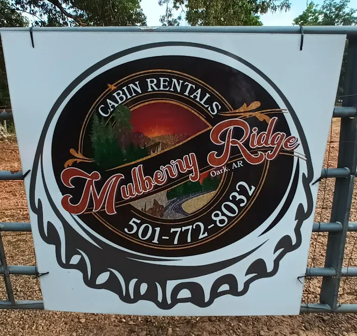 Mulberry Ridge Cabin Picture 2
