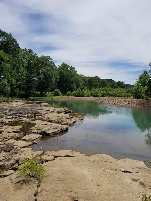 Moose Lodge Picture 1