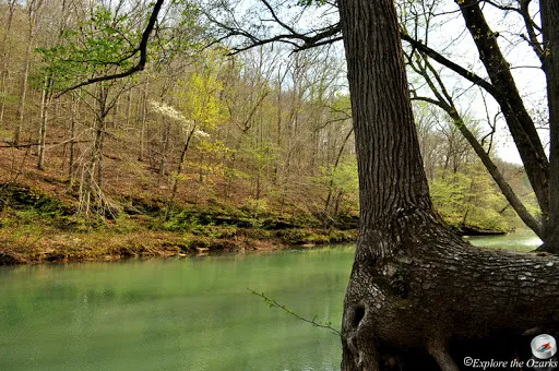 Wolf Pen Recreation Area Picture 2