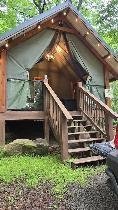 Horsehead Lake Lodge Picture 10