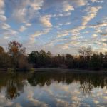 Cane Creek Recreation Area