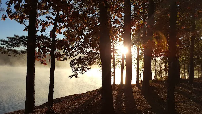 Cove Lake Campground Picture 6