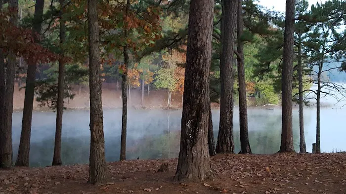 Cove Lake Campground Picture 5