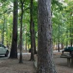 Cove Lake Campground