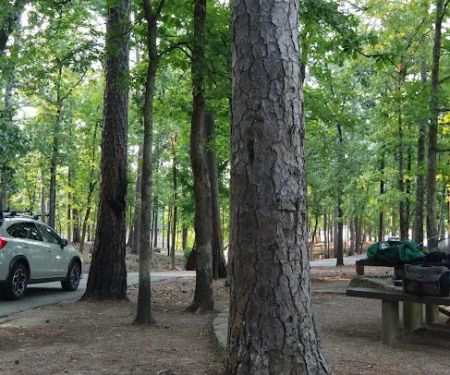 Cove Lake Campground