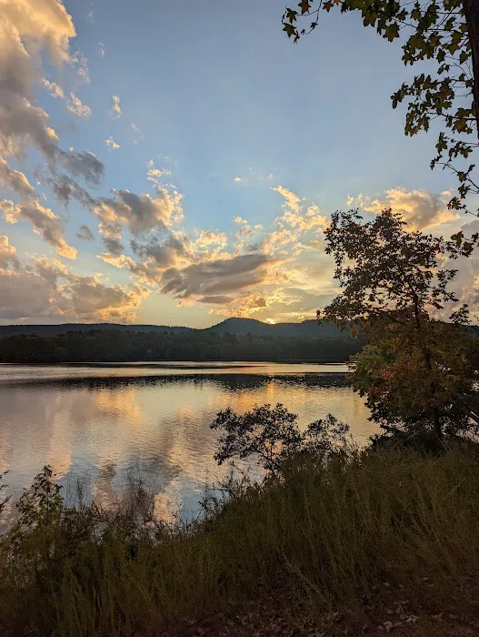 Cove Lake Campground Picture 10