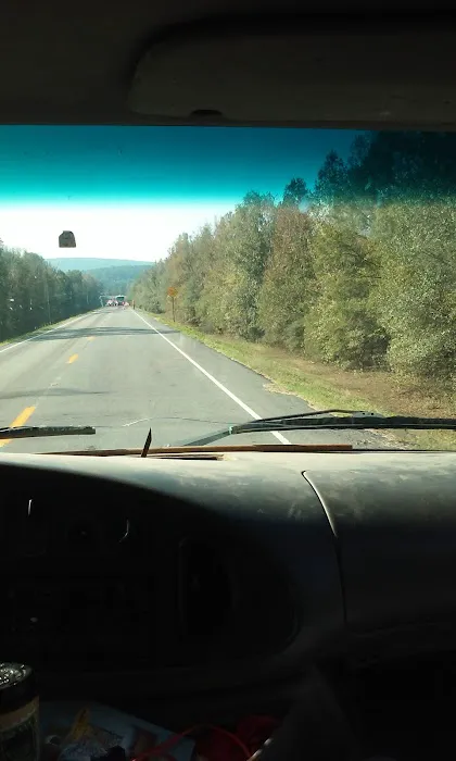 US Forest Service Picture 3