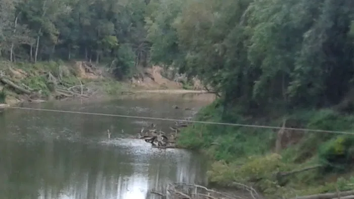 US Forest Service Picture 2