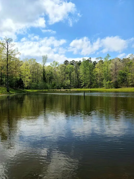 Goose Pond Road Camp Picture 2