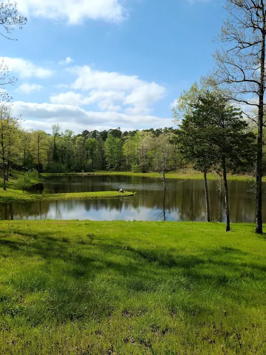 Goose Pond Road Camp Picture 5