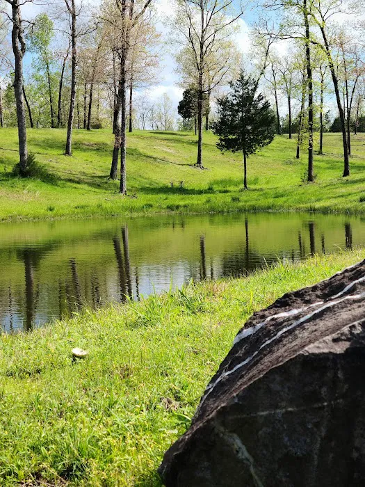 Goose Pond Road Camp Picture 4