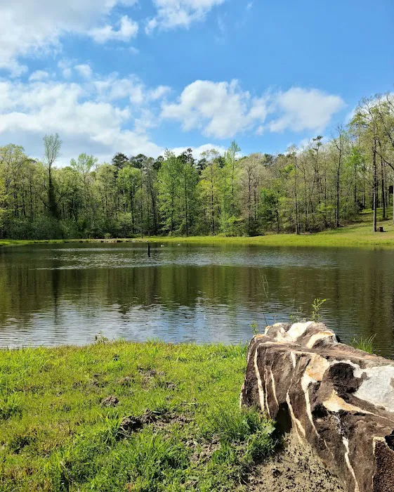 Goose Pond Road Camp Picture 1