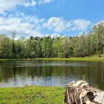 Goose Pond Road Camp