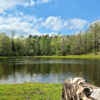 Goose Pond Road Camp ico