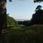 Fourche Mountain Recreation Area