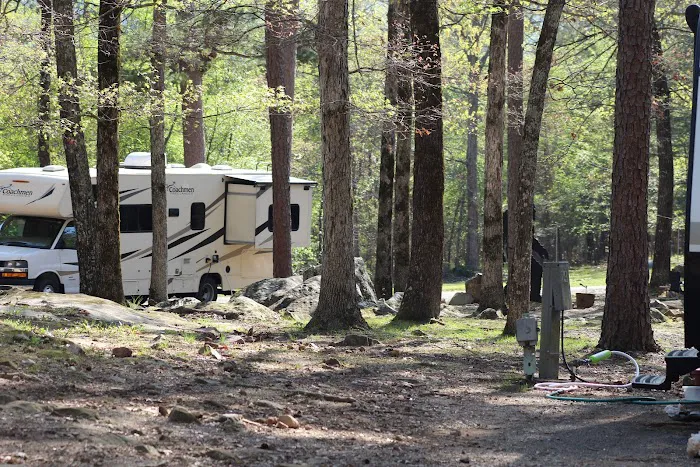 Crystal Ridge RV Park At Ron Coleman Mining Picture 3