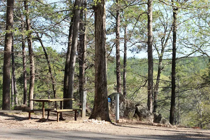 Crystal Ridge RV Park At Ron Coleman Mining Picture 1