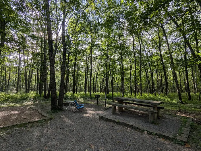 Cameron Bluff Campground Picture 7