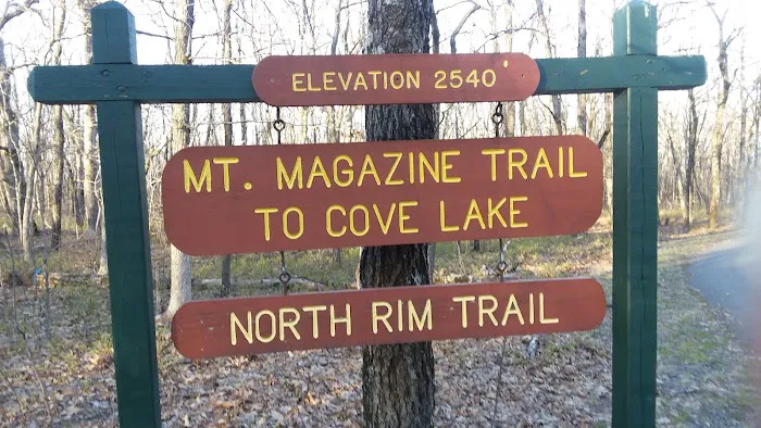 Cameron Bluff Campground Picture 8