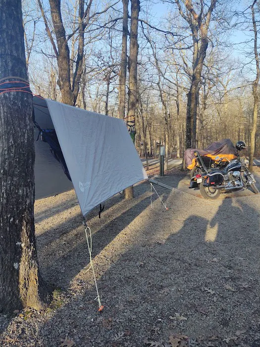 Cameron Bluff Campground Picture 1