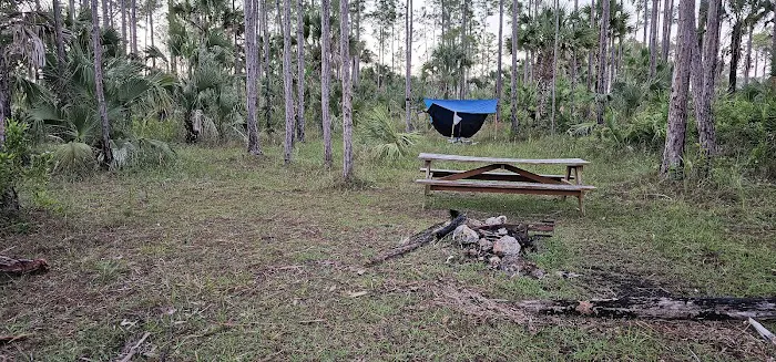 Panther Camp Picture 4