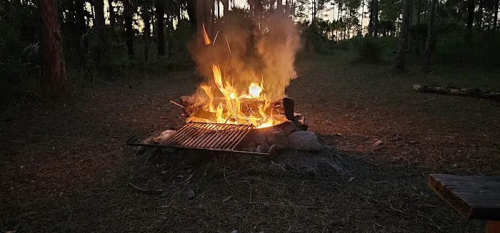 Panther Camp Picture 2