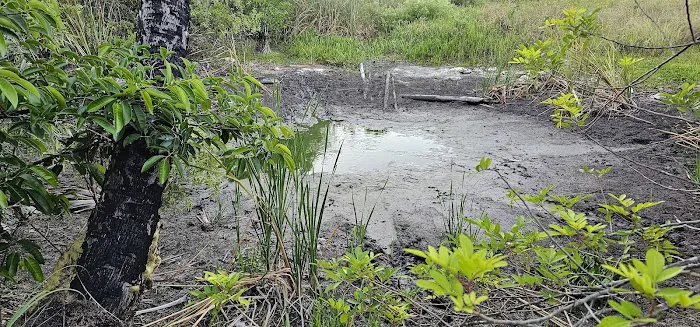 Panther Camp Picture 6