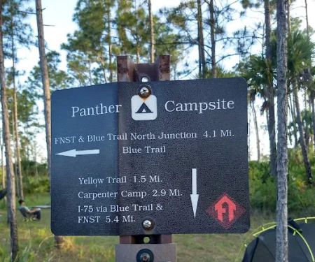 Panther Camp