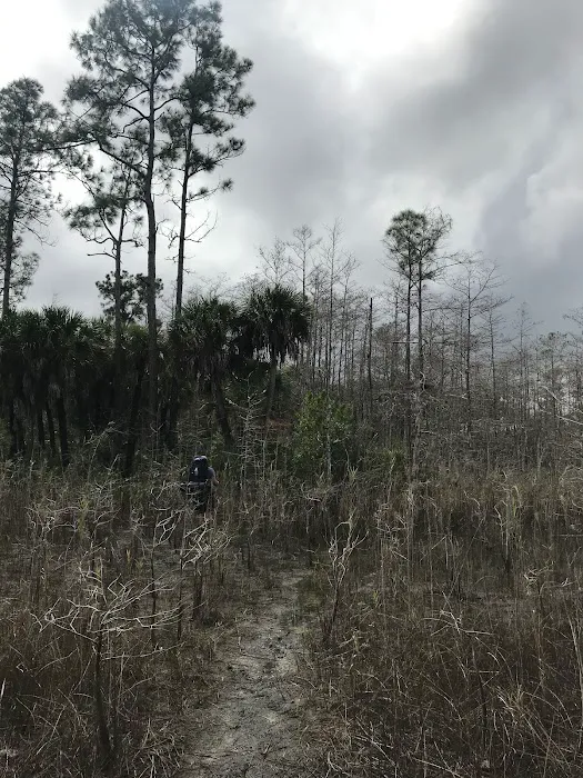 Panther Camp Picture 9