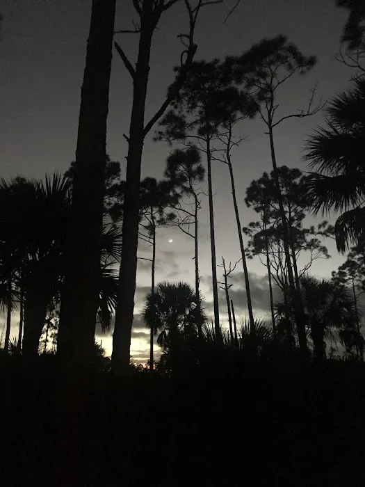 Panther Camp Picture 8