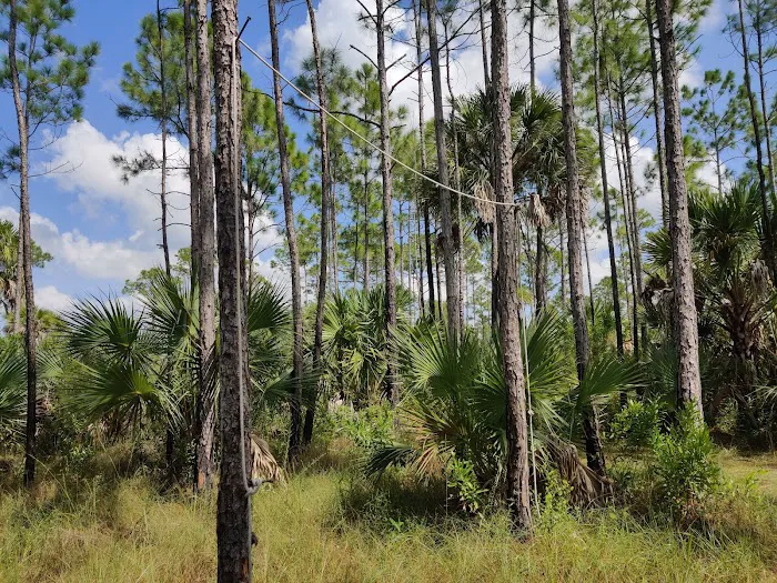 Panther Camp Picture 10