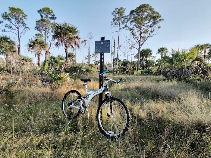 Carpenter Camp Picture 9