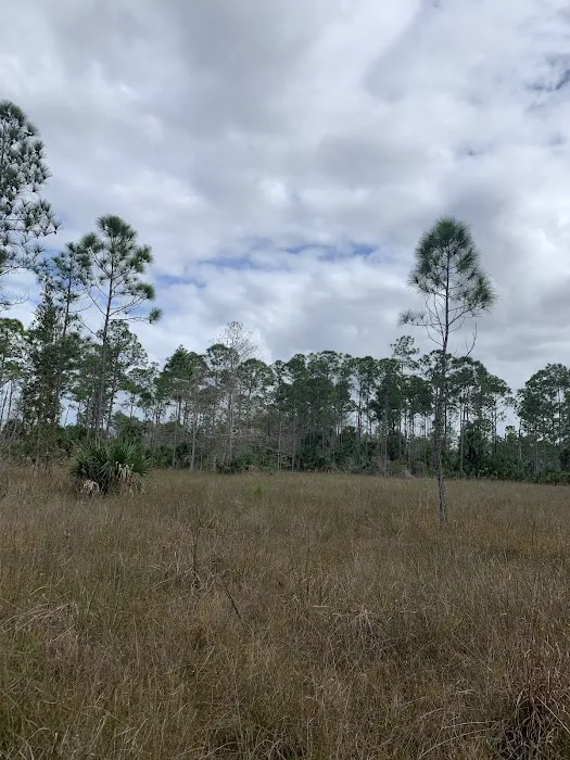 Carpenter Camp Picture 4