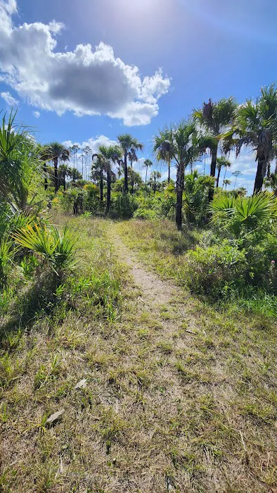 Carpenter Camp Picture 2