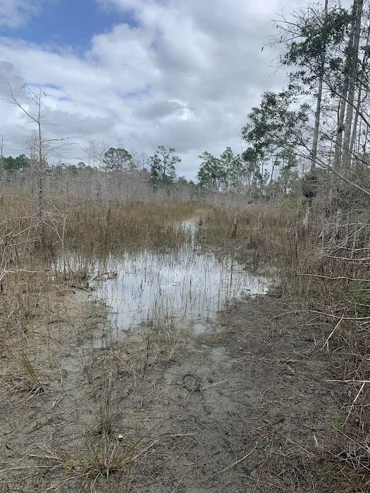 Carpenter Camp Picture 3