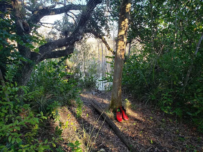 Ivy Campground Picture 3