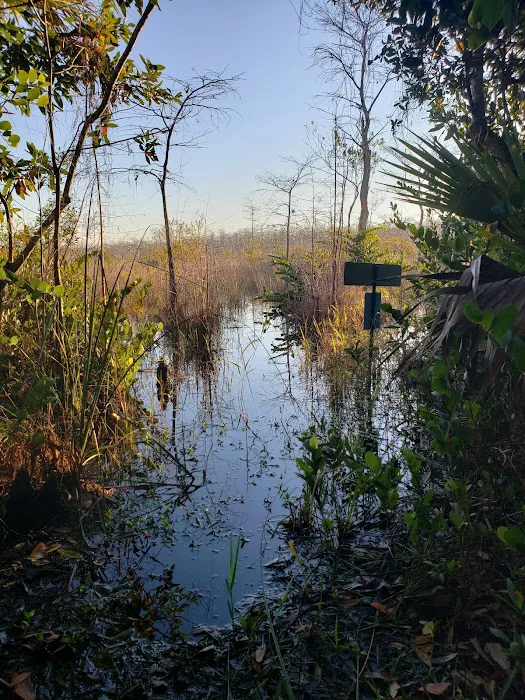 Ivy Campground Picture 2