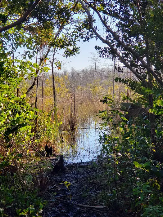 Ivy Campground Picture 7